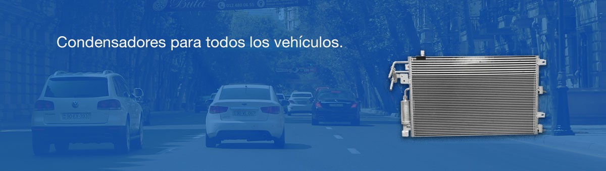 Acerca de cada uno de ellos